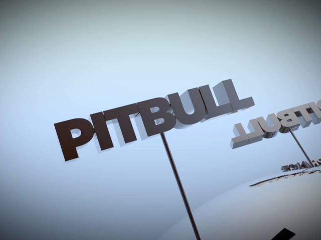 Enrique - Pitbull Tour